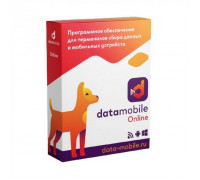 ПО DataMobile, версия Online (LifeTime, арт. DMOnline)